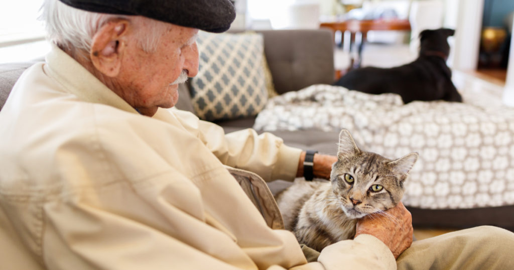 stay home health agency