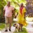 Walks, like this older couple and their dog are engaged in, are great activities for seniors in the springtime.