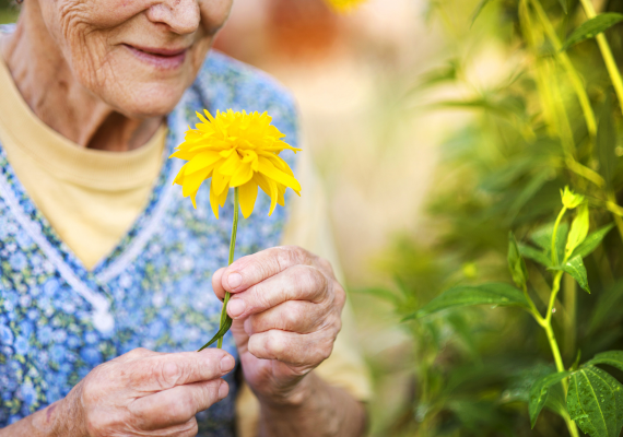 Longboat Key Home Care in Longboat Key