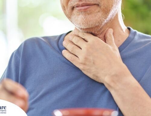 Dysphagia and Senior Health: A Practical Guide to Safe Eating