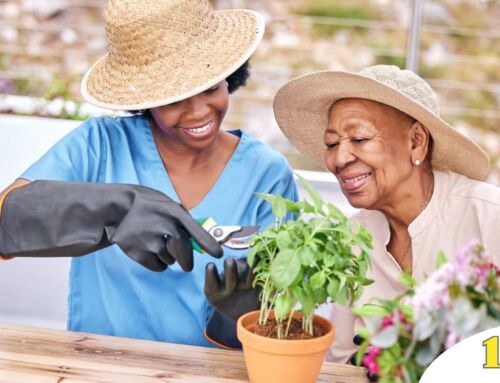 Keeping Seniors Engaged at Home: Creative Companion Care Ideas